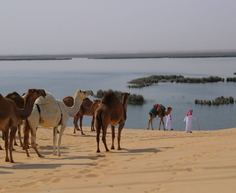 Copyright © 2021 Saudi Tourism Authority