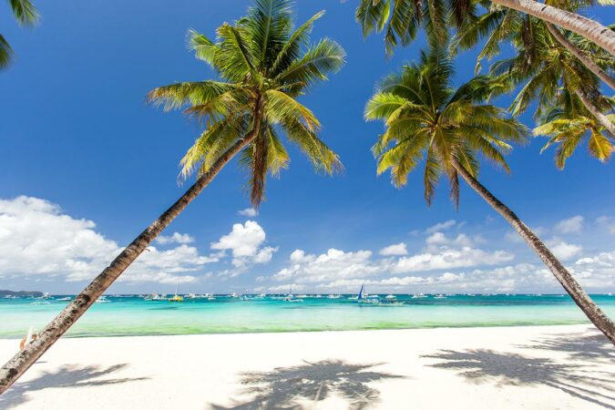 Blue Horizons Travel & Tours