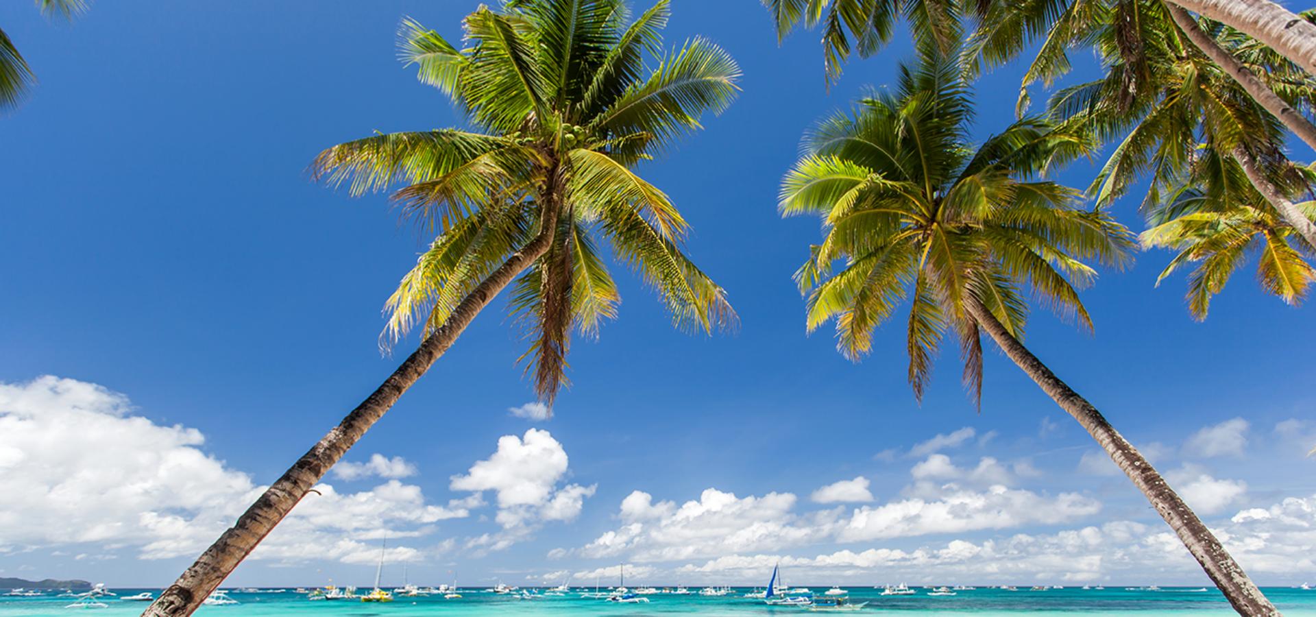 Blue Horizons Travel & Tours