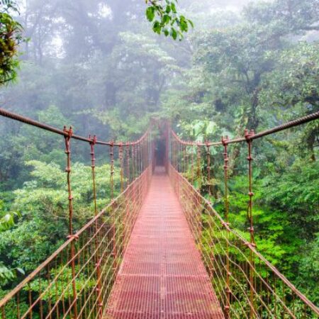 Viatur Travel Services
